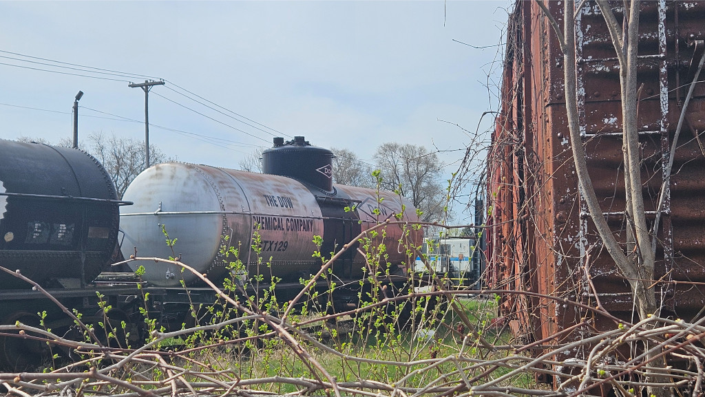 MSTX 129